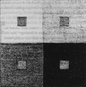 kontrast.gif (57113 bytes)