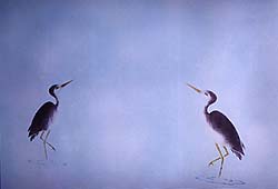 tupft2.jpg (4436 bytes)